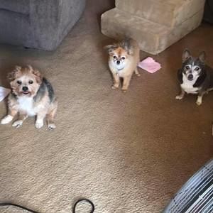 Meet your Posher, Olivia